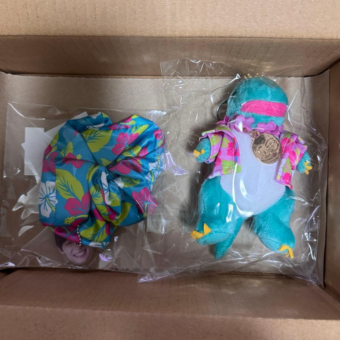 超特急 アロハ 生誕グッズ アロサウルス シュシュ