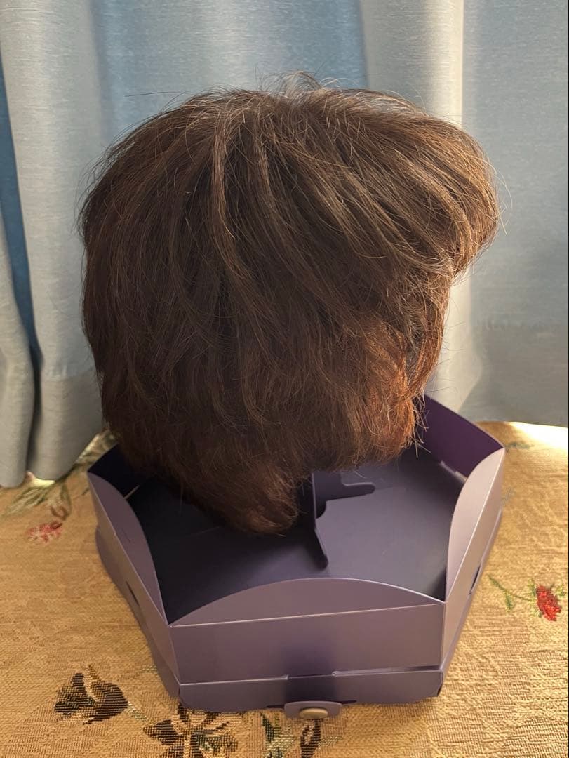 FONTAINE フォンティーヌ ウィッグ