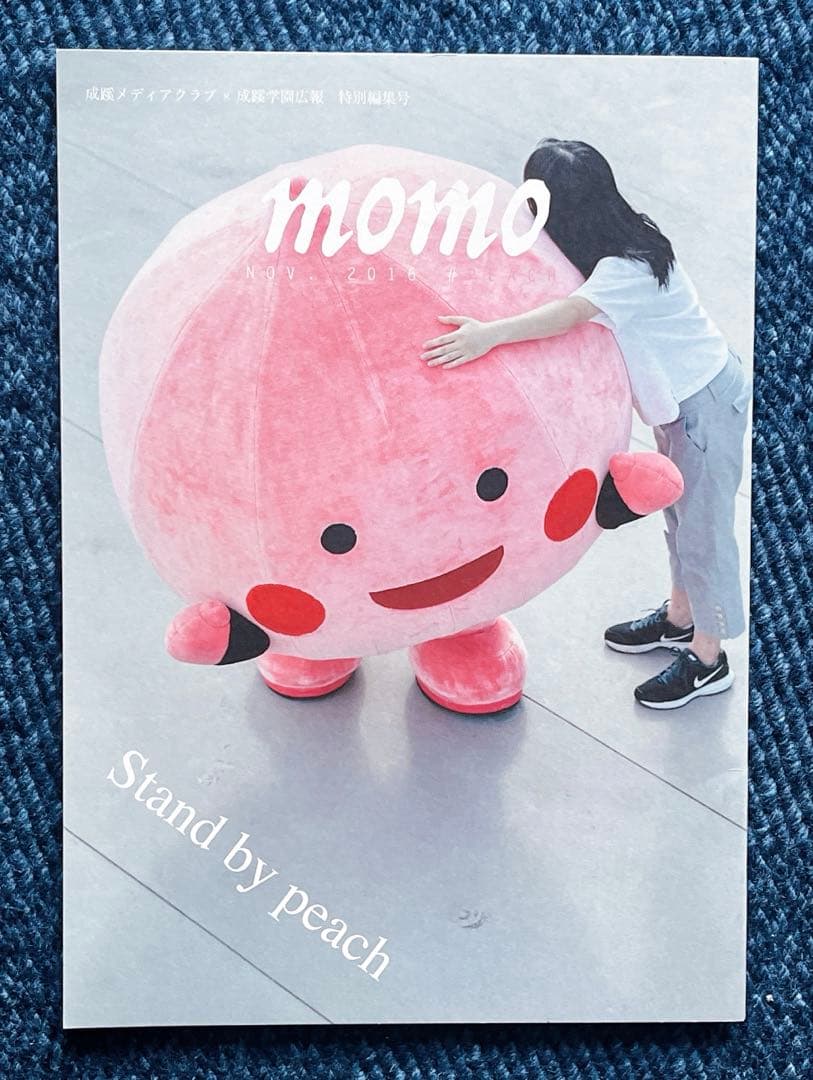 成蹊小学校　学校研究、受験対策フルセット