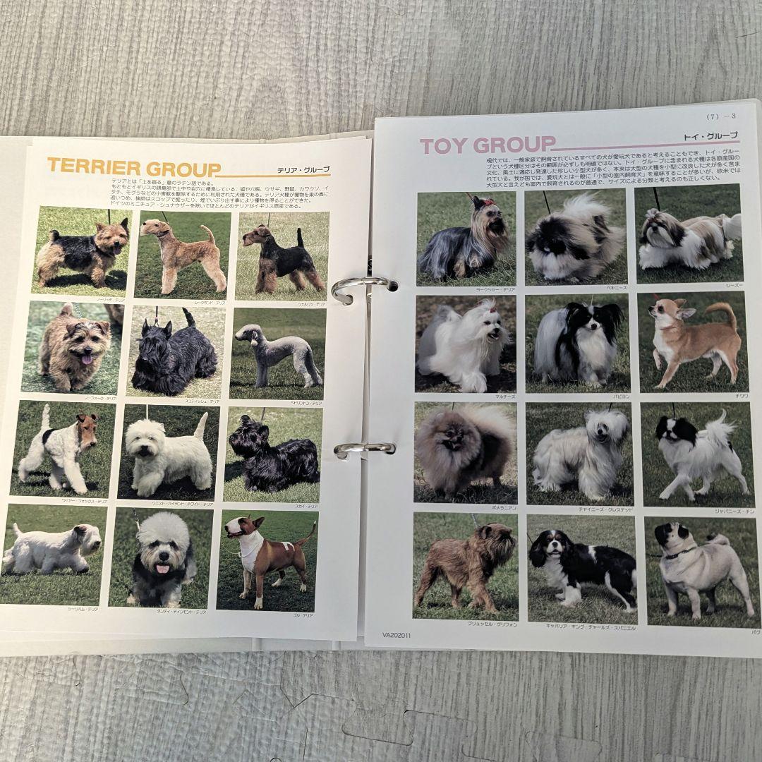 ドッグトレーナープロフェッショナル講座　ヒューマンアカデミー　テキスト DVD