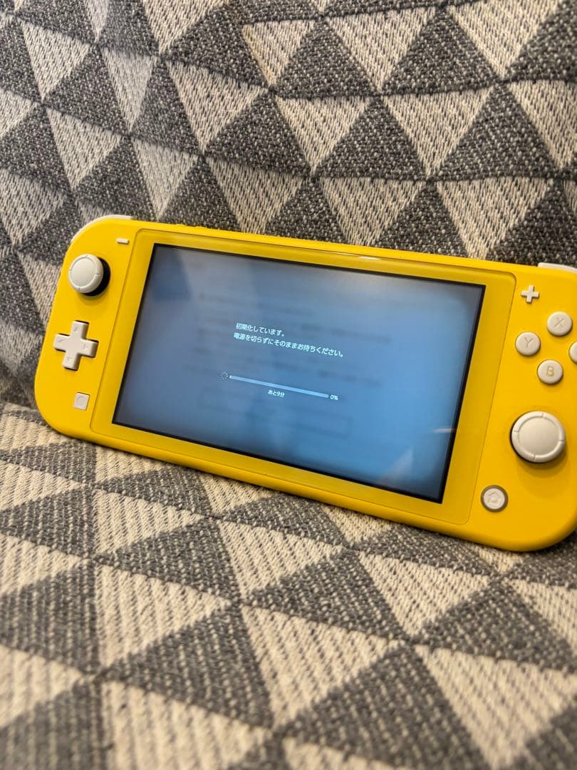 Nintendo Switch Lite 本体（ケース、ガラスフィルム有）