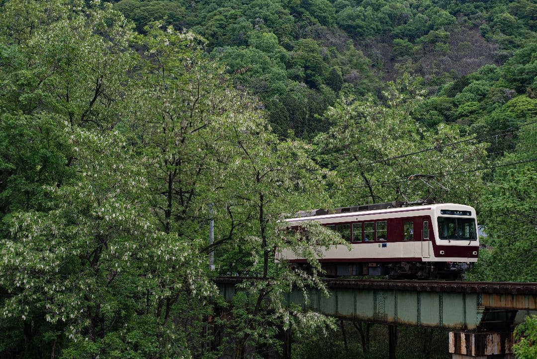 レンズ(単焦点) AF-S NIKKOR 50mm f/1.8G