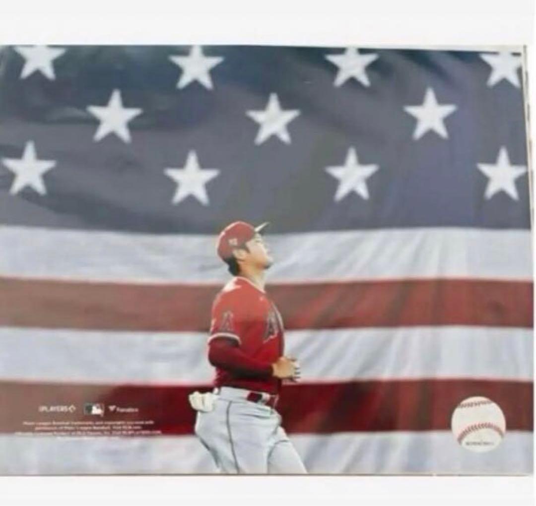 大谷翔平 マイクトラウト ボブルヘッド セット