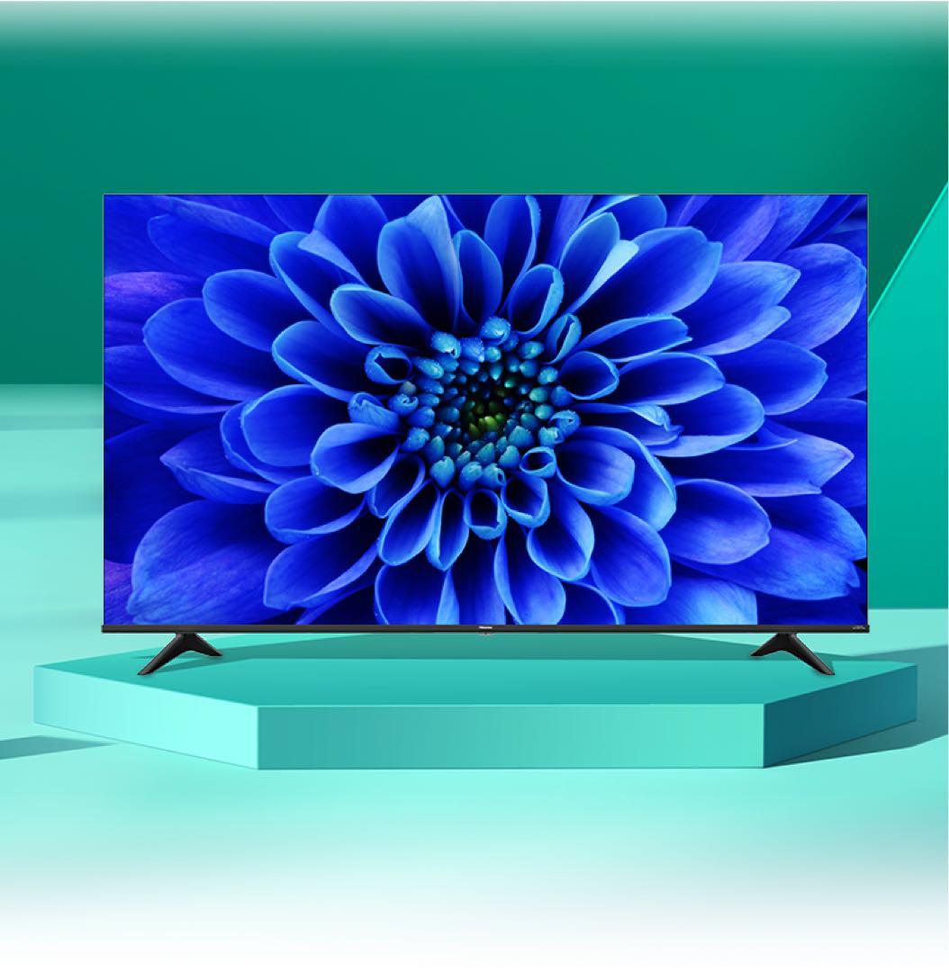 ハイセンス 65インチ 4K液晶65E6G 65V