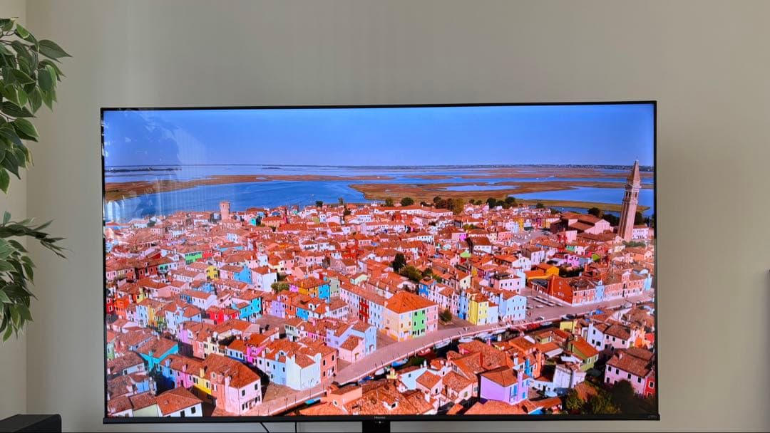 ハイセンス 65インチ 4K液晶65E6G 65V