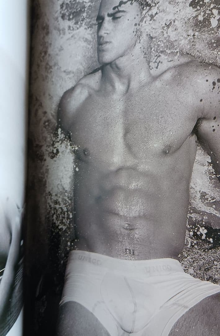 Beach Boys Max-Arthur Mantle 写真集