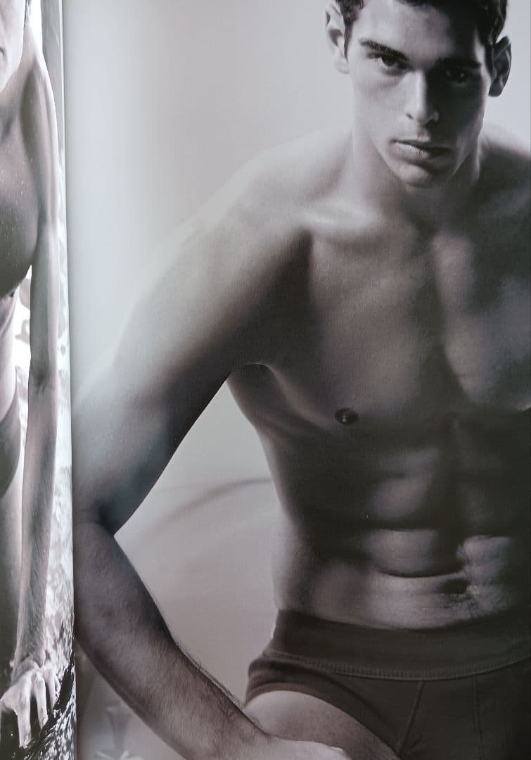 Beach Boys Max-Arthur Mantle 写真集