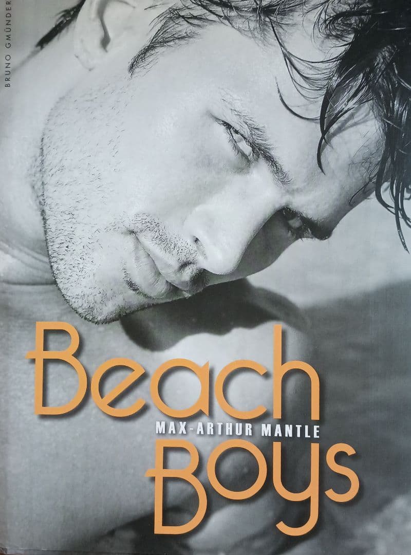 Beach Boys Max-Arthur Mantle 写真集