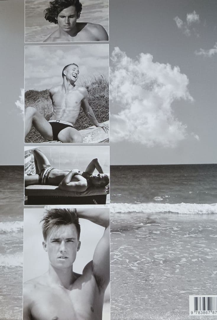 Beach Boys Max-Arthur Mantle 写真集