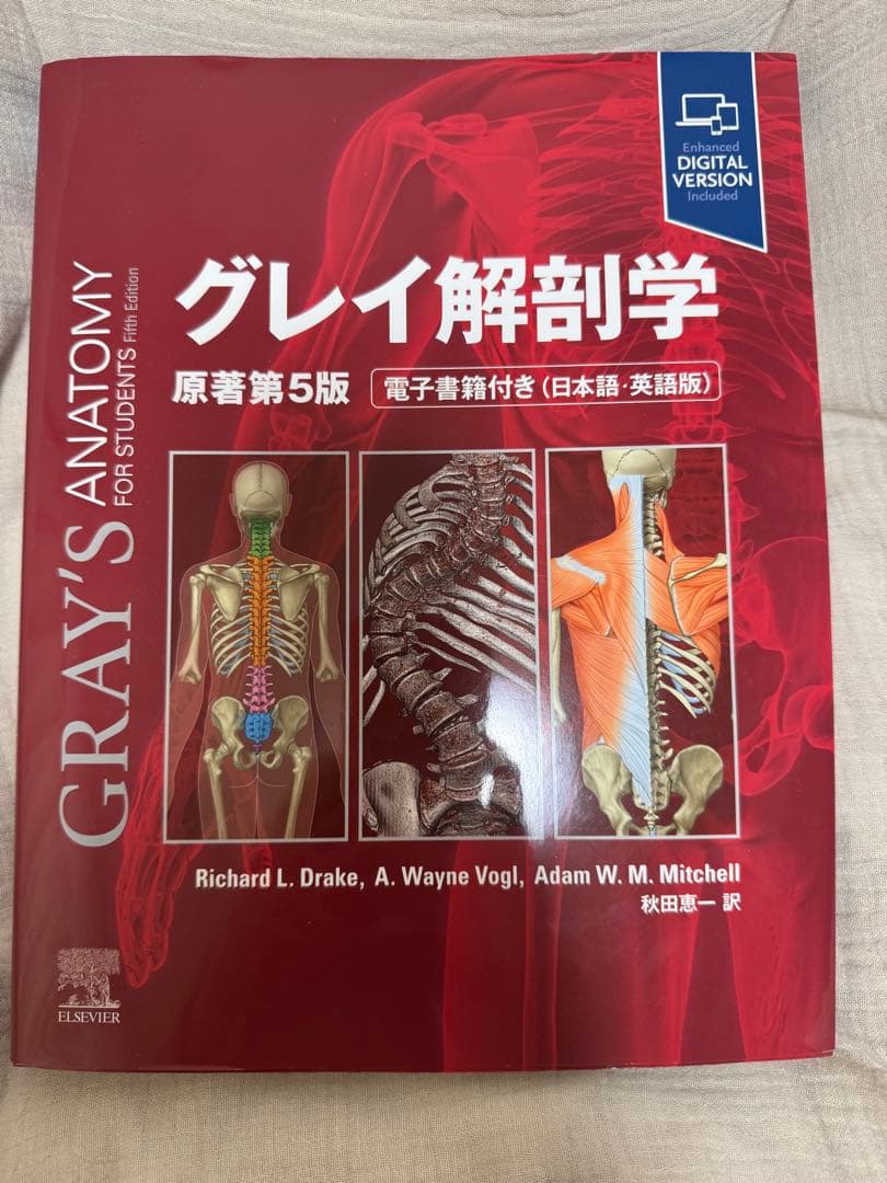 グレイ解剖学原著第5版