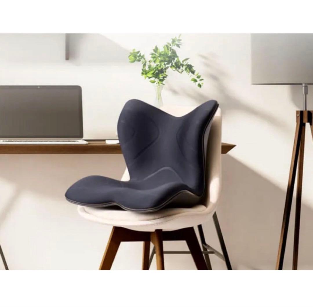 Style PREMIUM Ⅱ ブラック　チェア