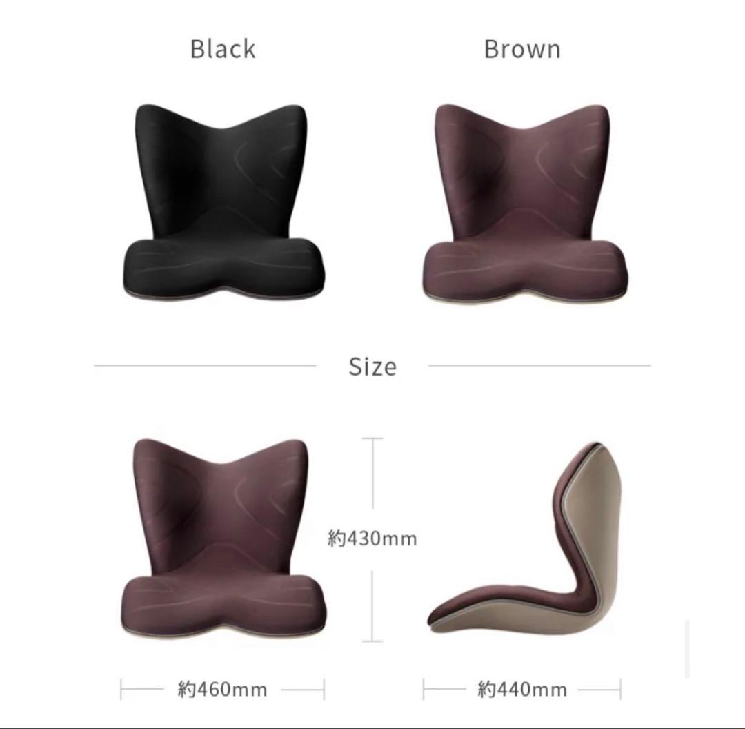 Style PREMIUM Ⅱ ブラック　チェア