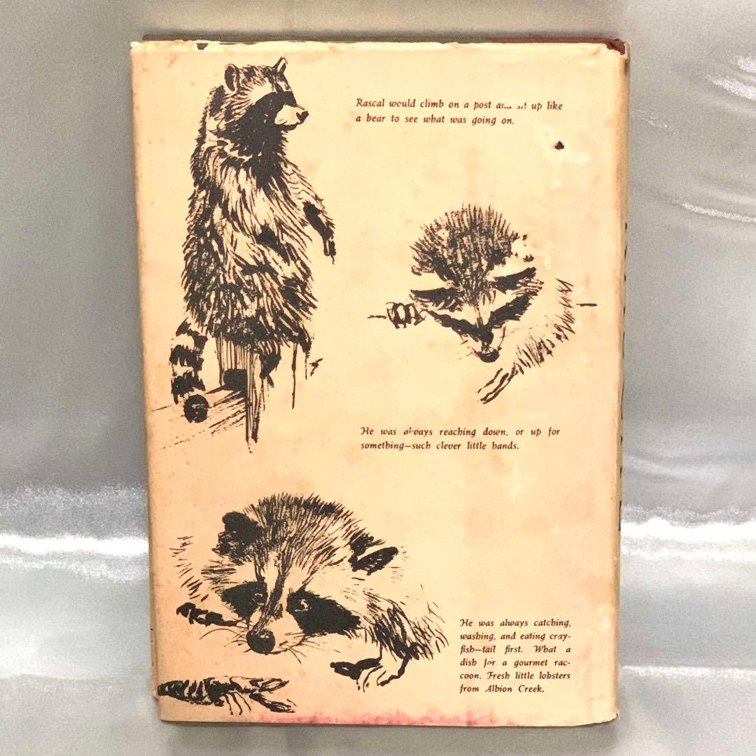 はるかなるわがラスカル 原書 RASCAL 1963年 英語版 初期刷 洋書