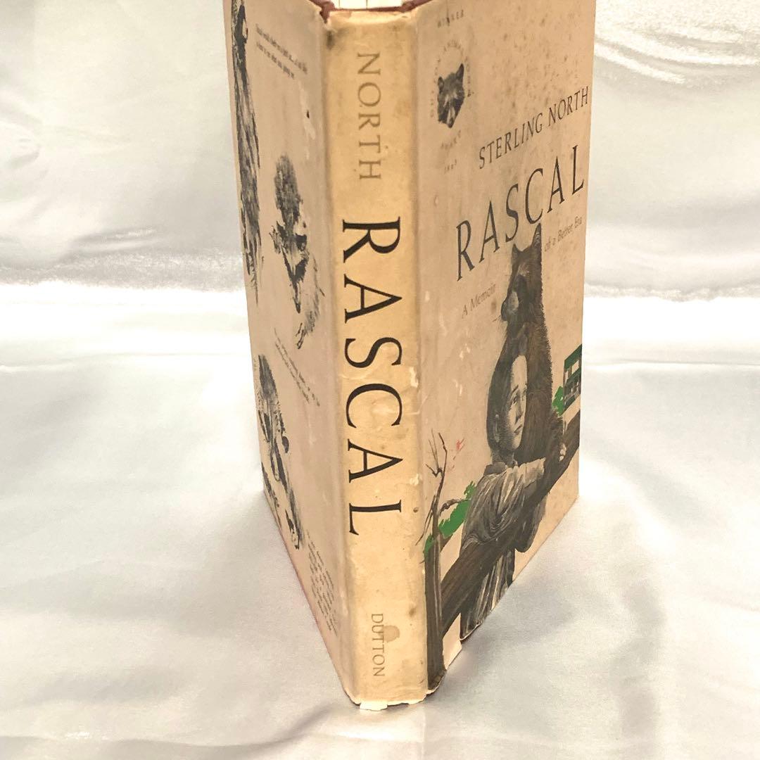 はるかなるわがラスカル 原書 RASCAL 1963年 英語版 初期刷 洋書