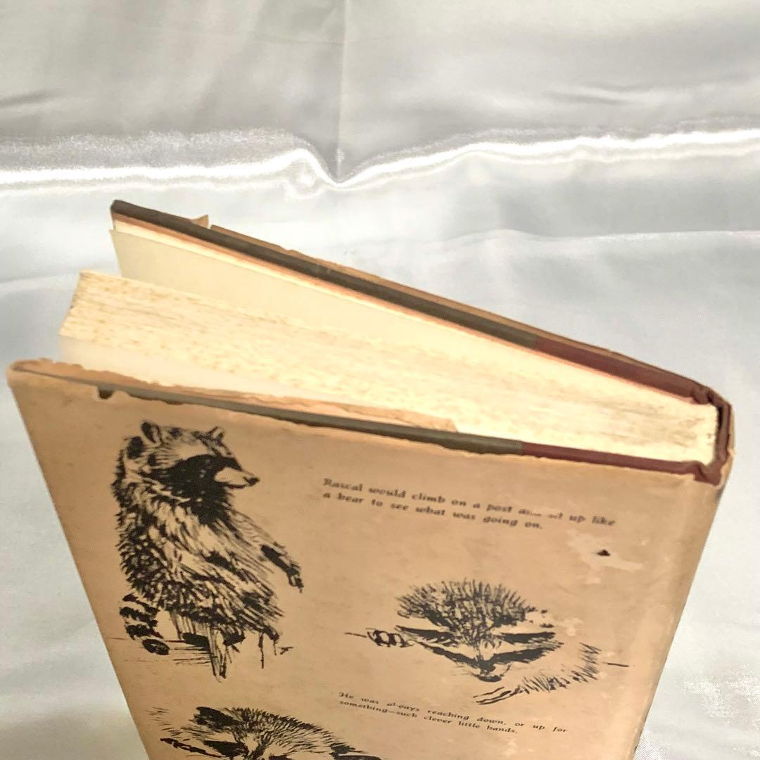 はるかなるわがラスカル 原書 RASCAL 1963年 英語版 初期刷 洋書