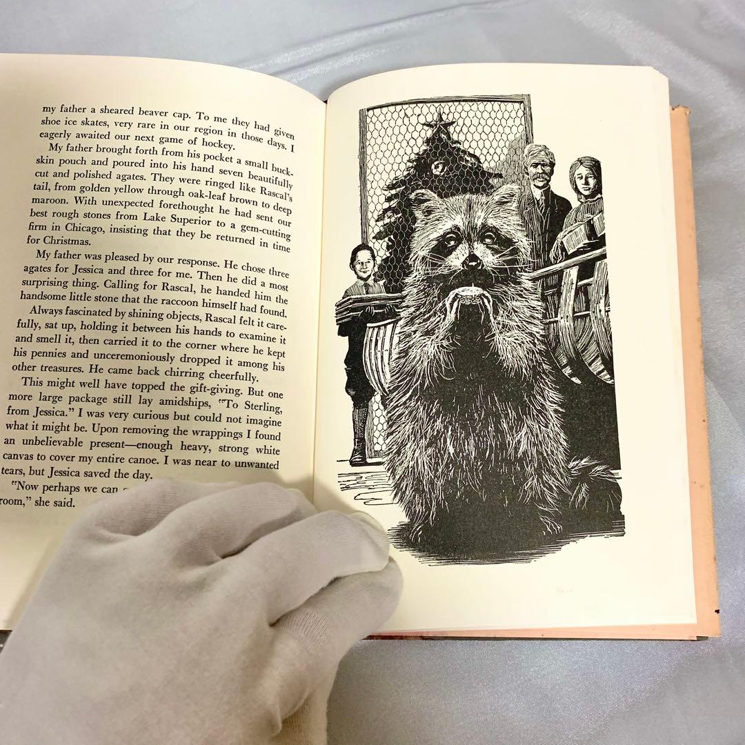 はるかなるわがラスカル 原書 RASCAL 1963年 英語版 初期刷 洋書