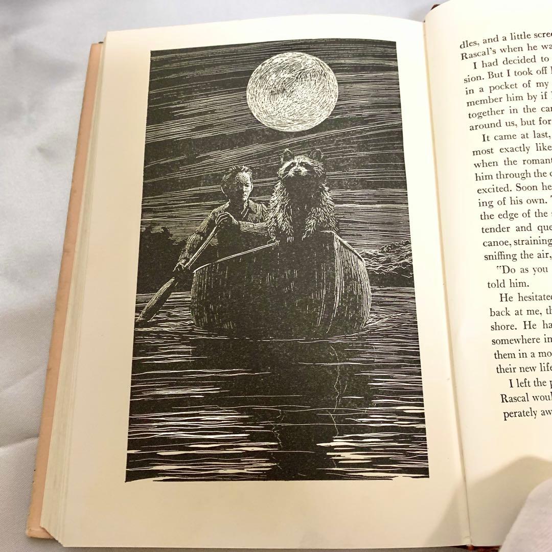 はるかなるわがラスカル 原書 RASCAL 1963年 英語版 初期刷 洋書