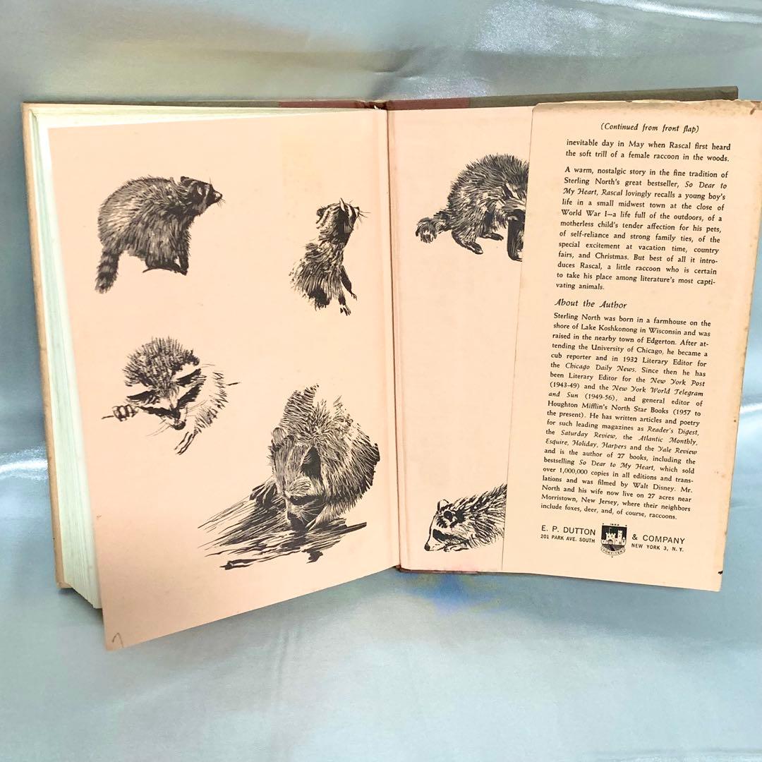 はるかなるわがラスカル 原書 RASCAL 1963年 英語版 初期刷 洋書