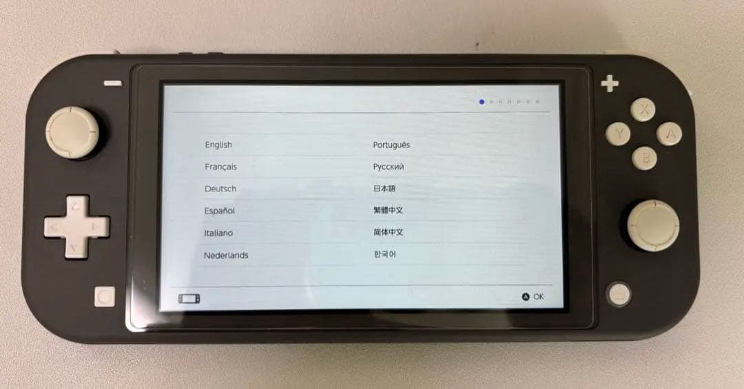 Nintendo Switch Lite グレー　※箱無し　2023年購入