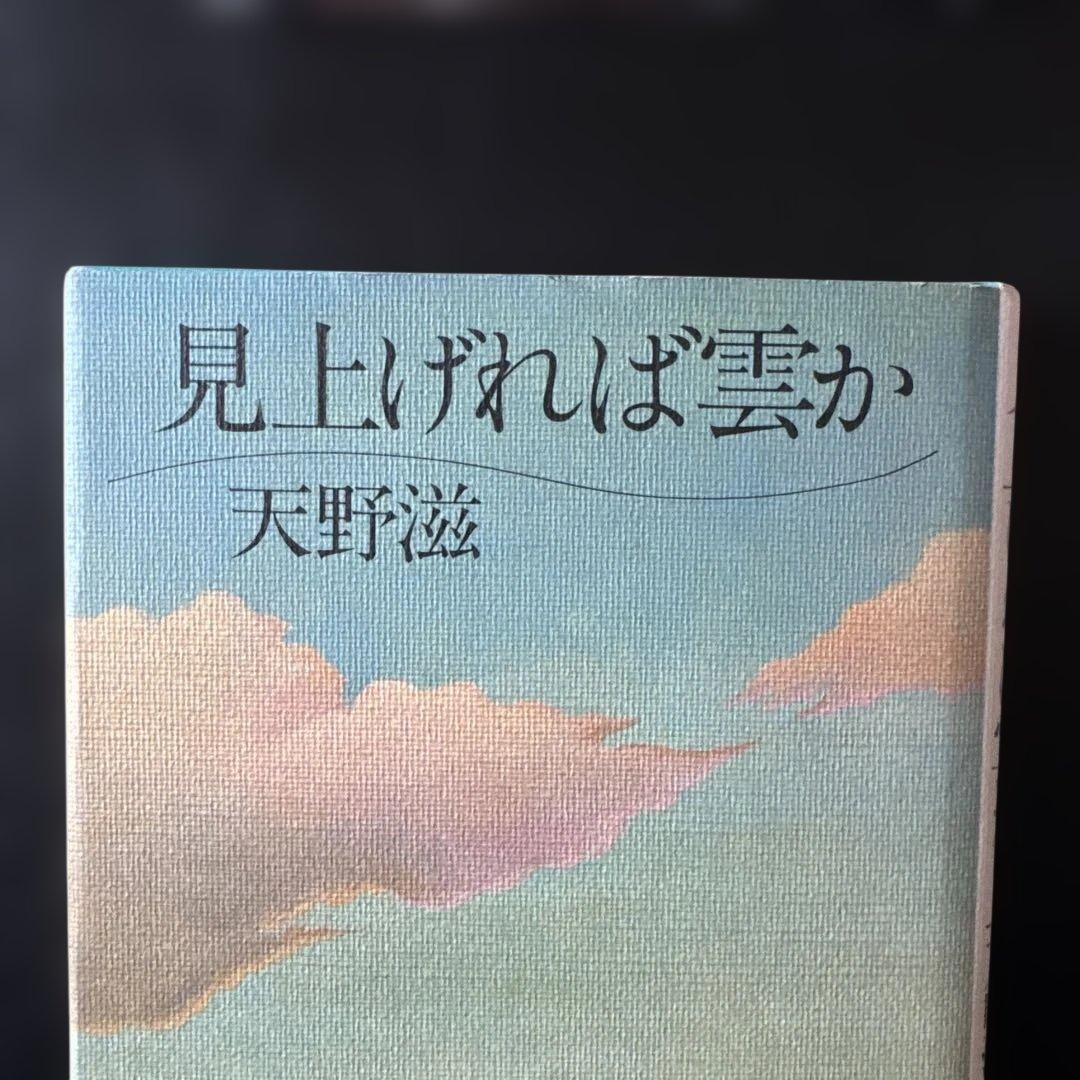 「見上げれば雲か」 天野滋
