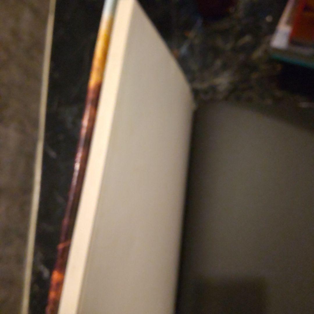 EUROPEAN PHOTOGRAPHY 1984-85 写真集 洋書 大型