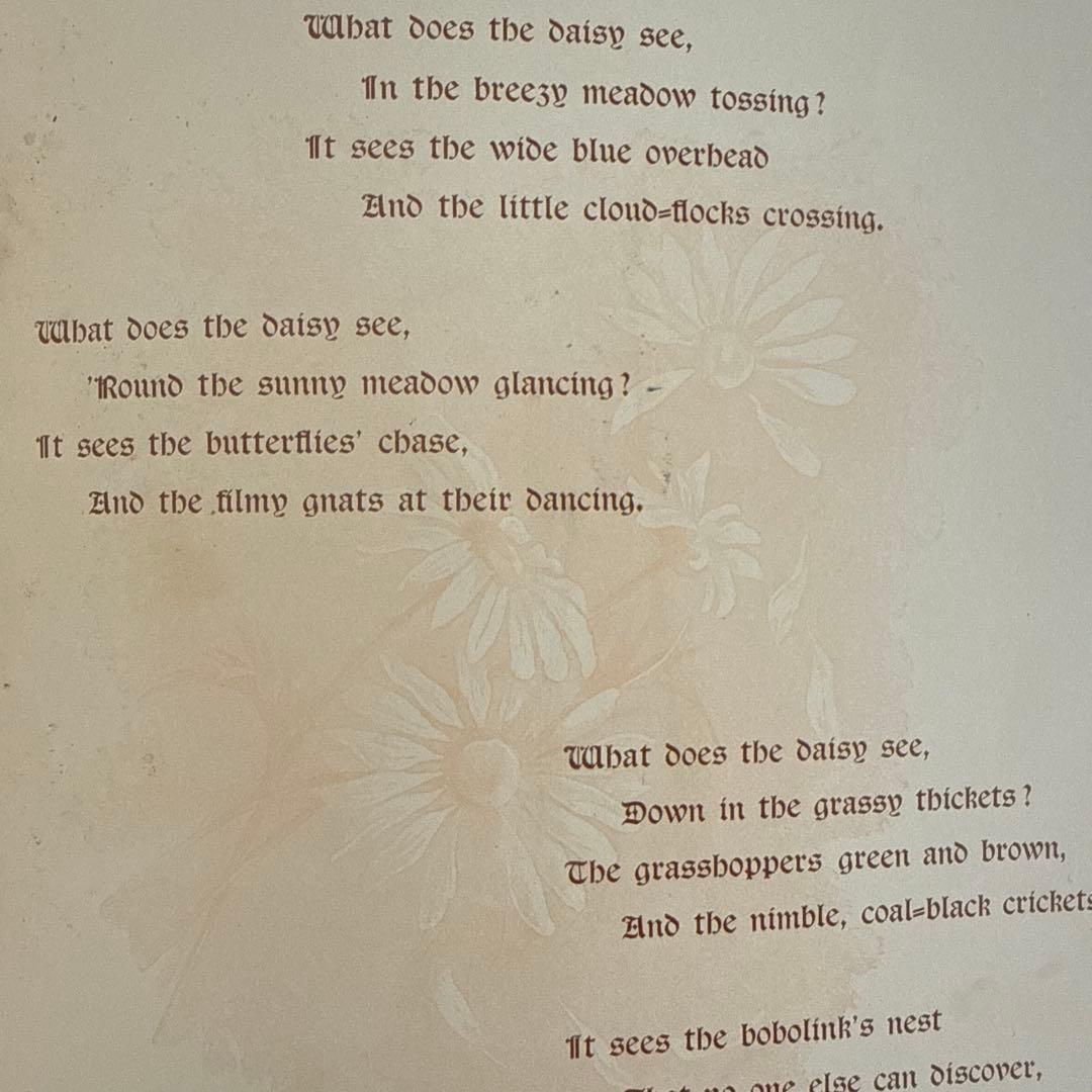 稀少1888年アンティーク美しい挿絵の絵本　洋書　古書ジャンクジャーナル額装にも