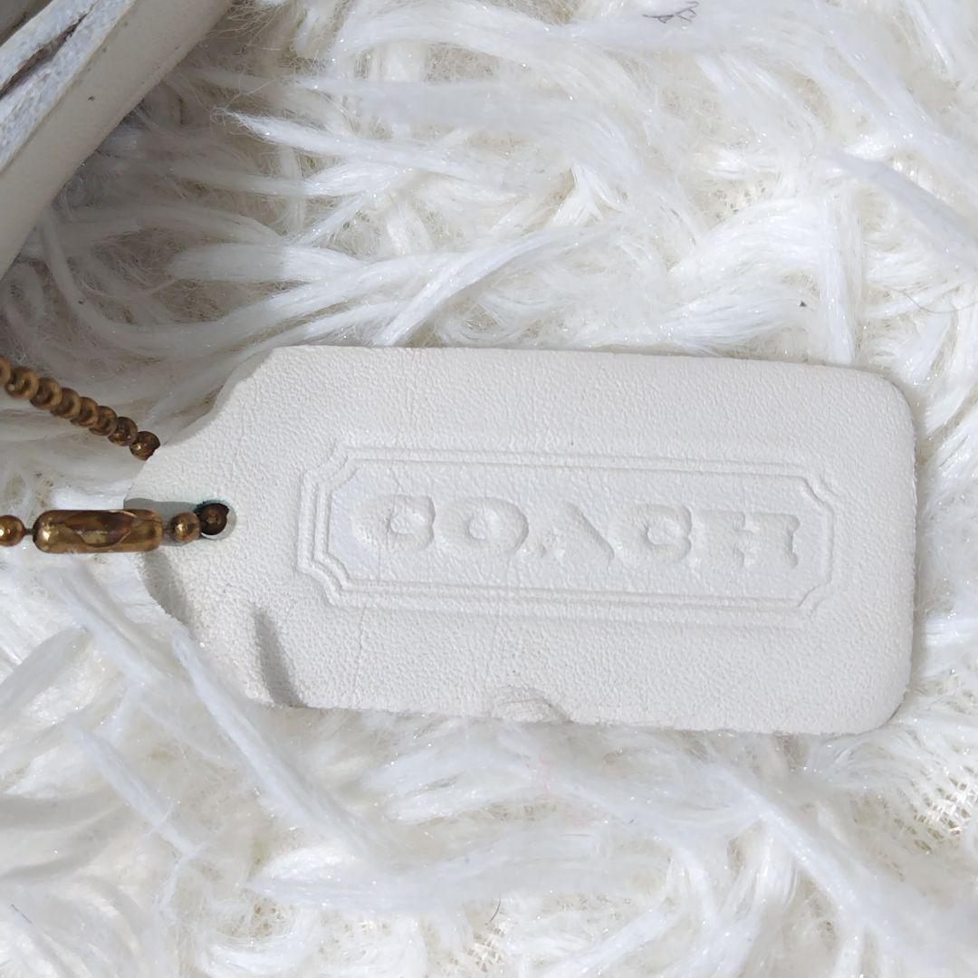 【希少カラー/入手困難】オールドコーチ ショルダーバッグ ポーチ USA製