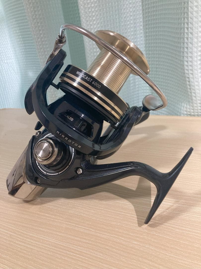 ダイワ 17 WINDCAST ウインドキャスト 6000