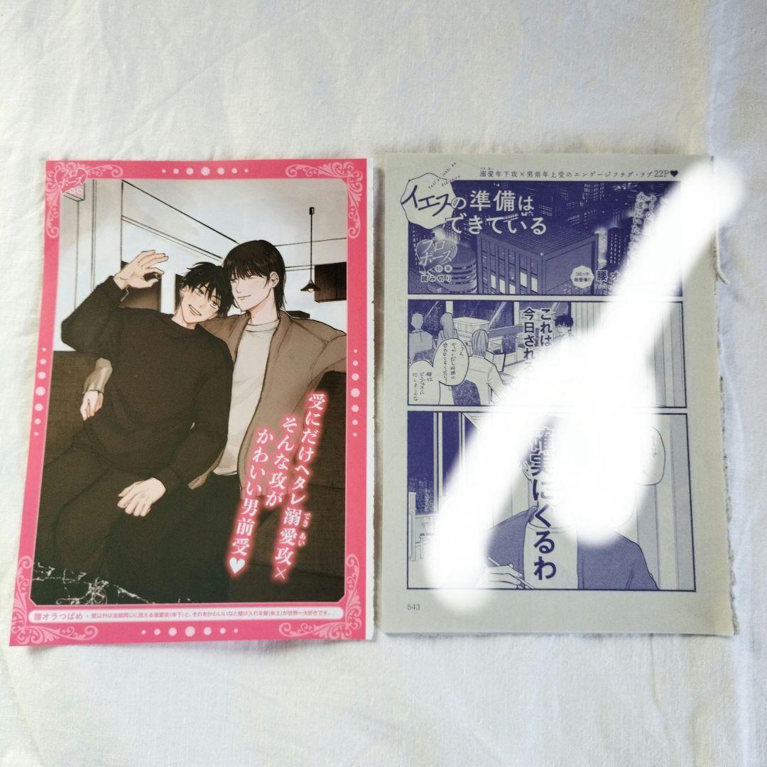 腰オラつばめ『俺たちナマモノ?です』アクリルスタンド　小冊子　ディアプラス切抜