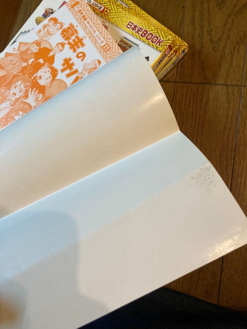 【25冊セット】サバイバルシリーズ