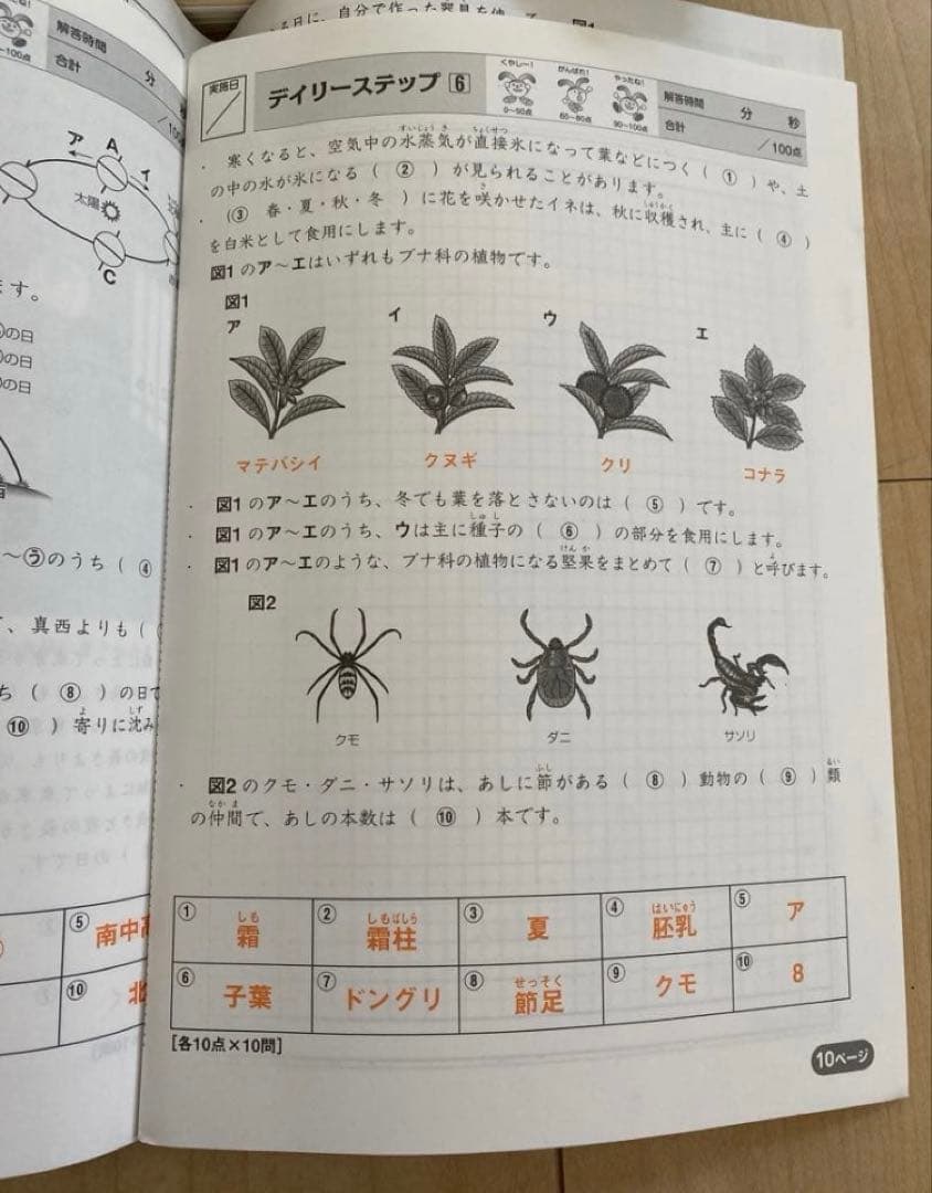 ︎サピックス　4年　理科、社会テキストセット