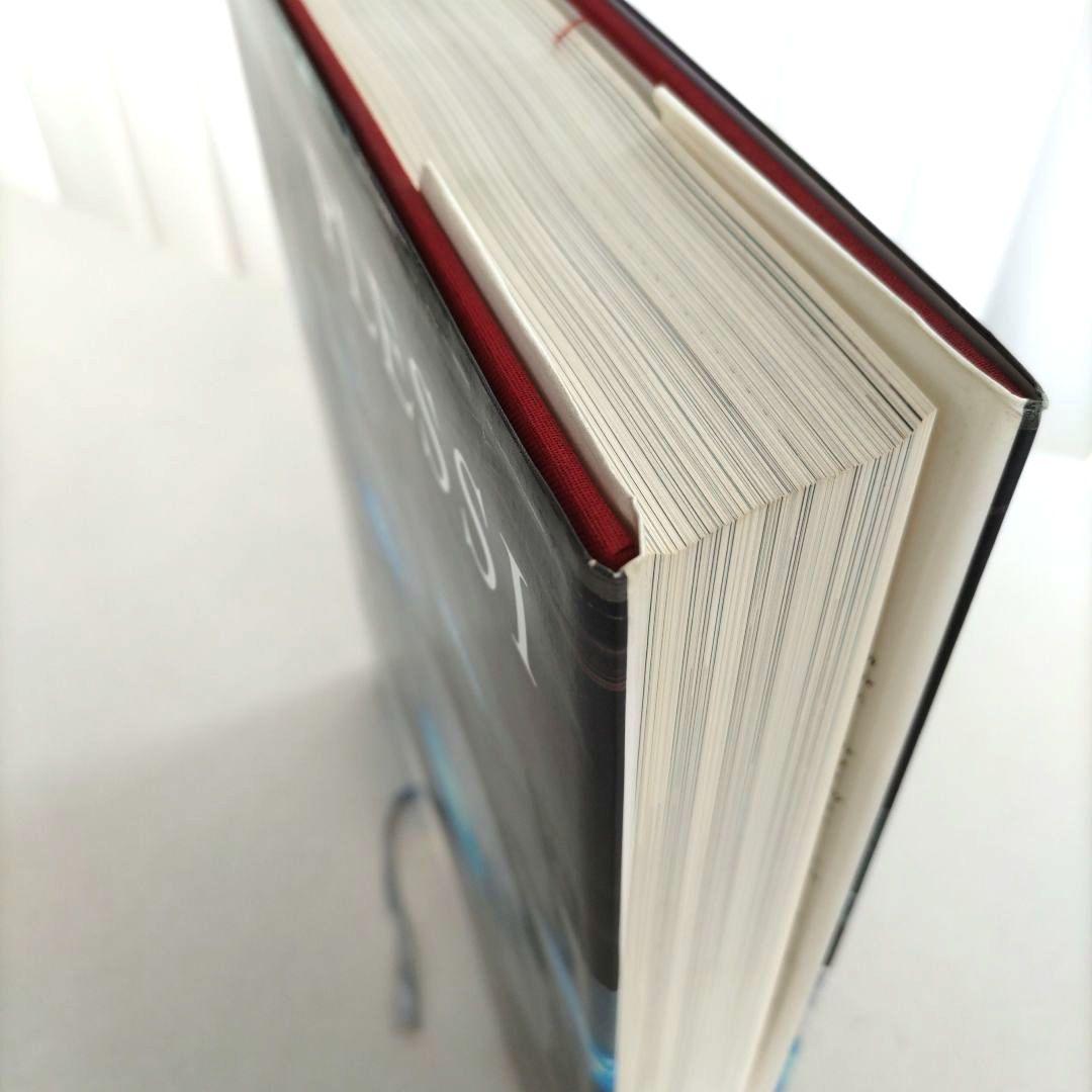 Fabrio Plessi:Opus Video Sculpture/ビデオ彫刻