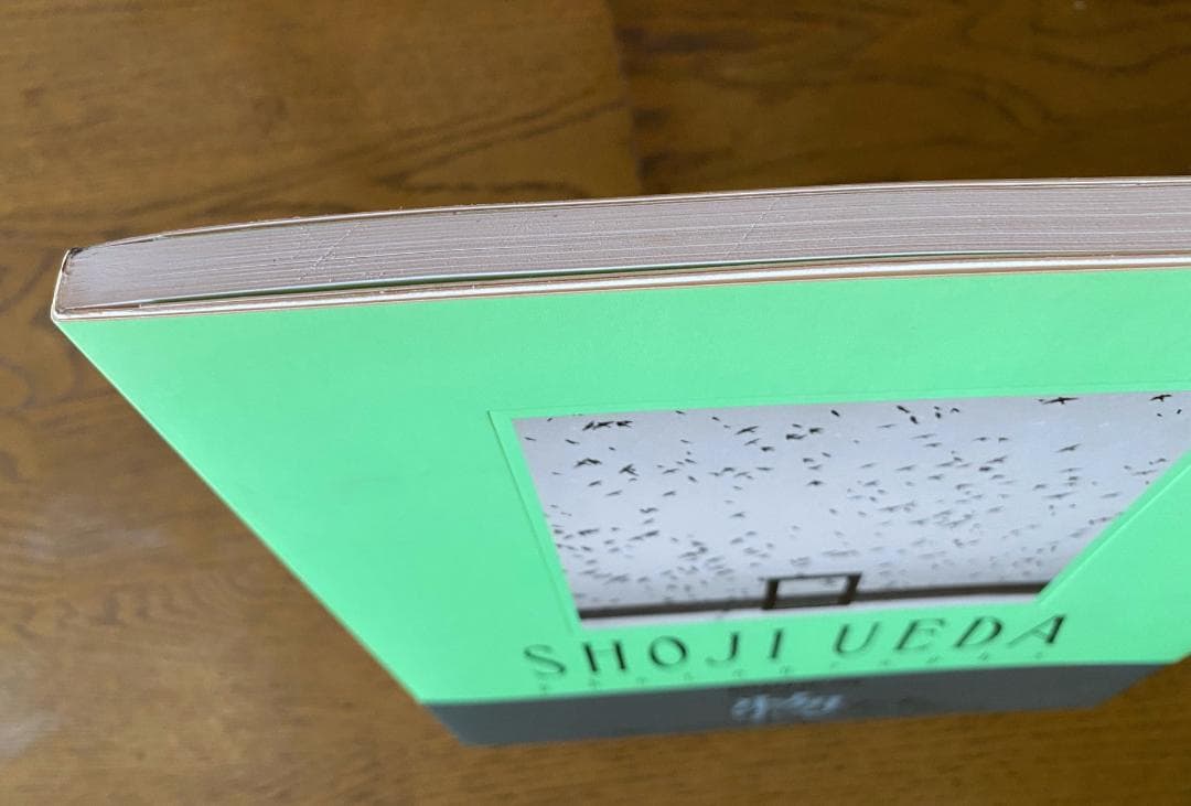 植田正治 写真集2 (物)たち SHOJI UEDA 帯付き　美品