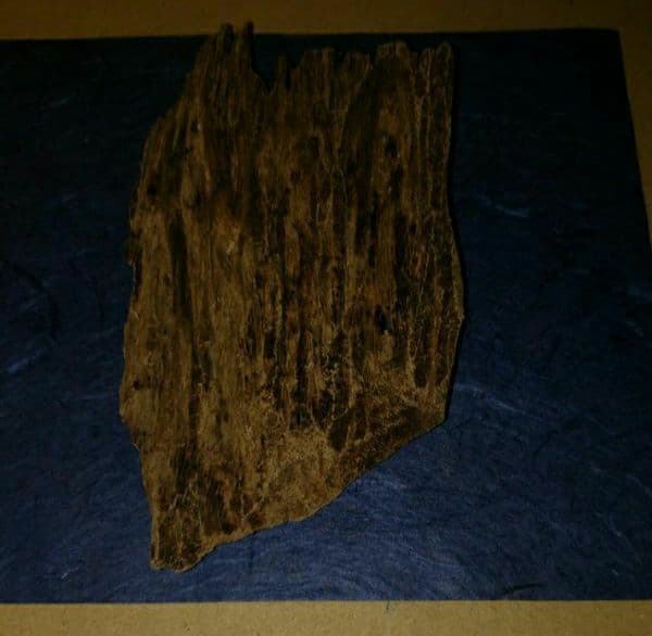 沈香、伽羅、六国五味、聞香、香木「ベトナム・フエ産 特上14,1」15