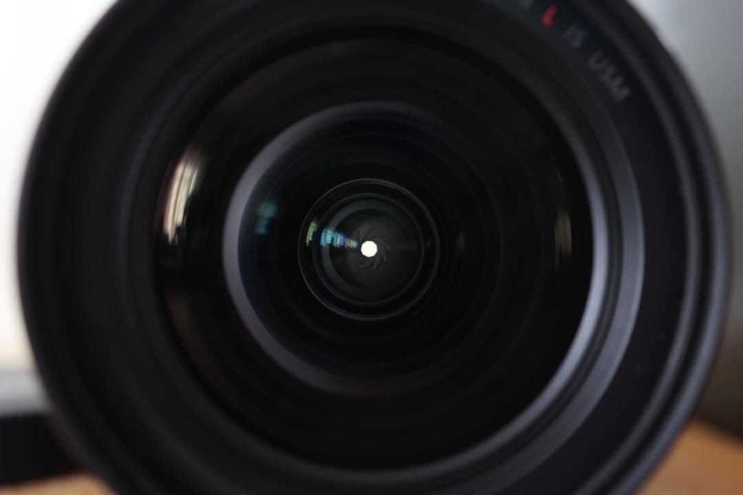 レンズ(ズーム) Canon RF 15-35mm F2.8 IS USM