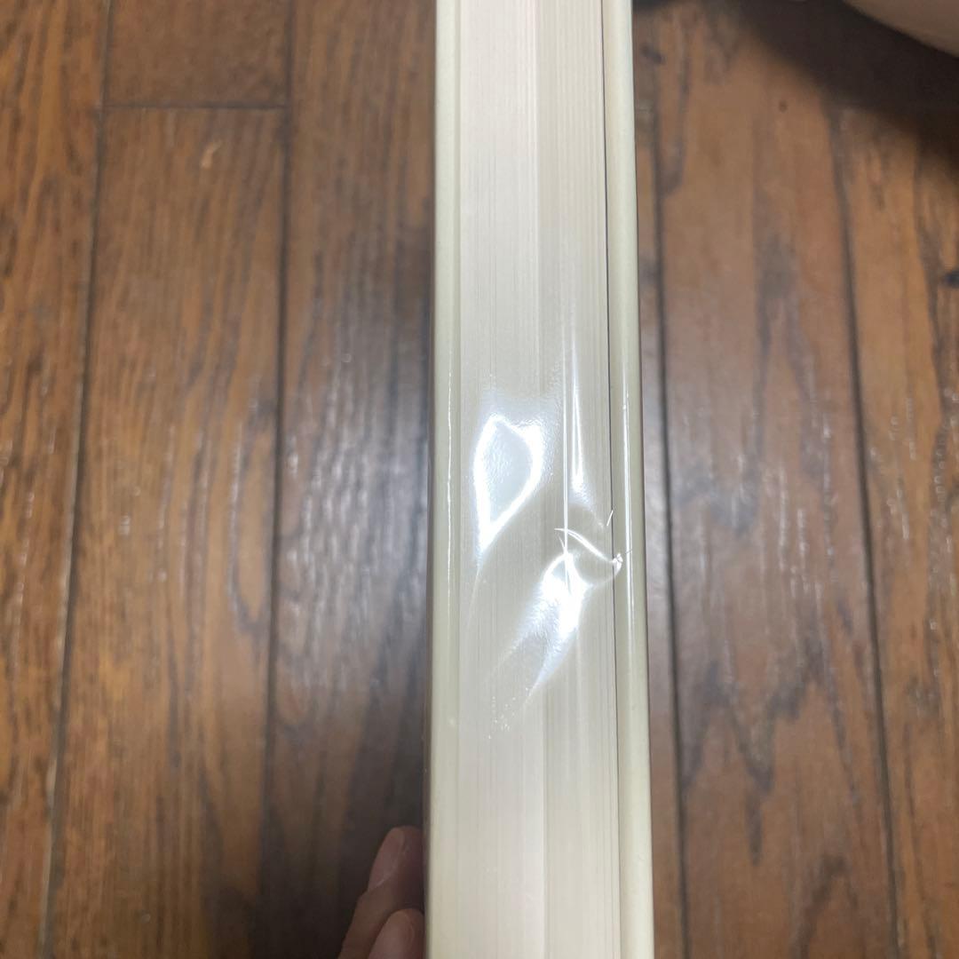 【希少】WEEGEE'S NEW YORK