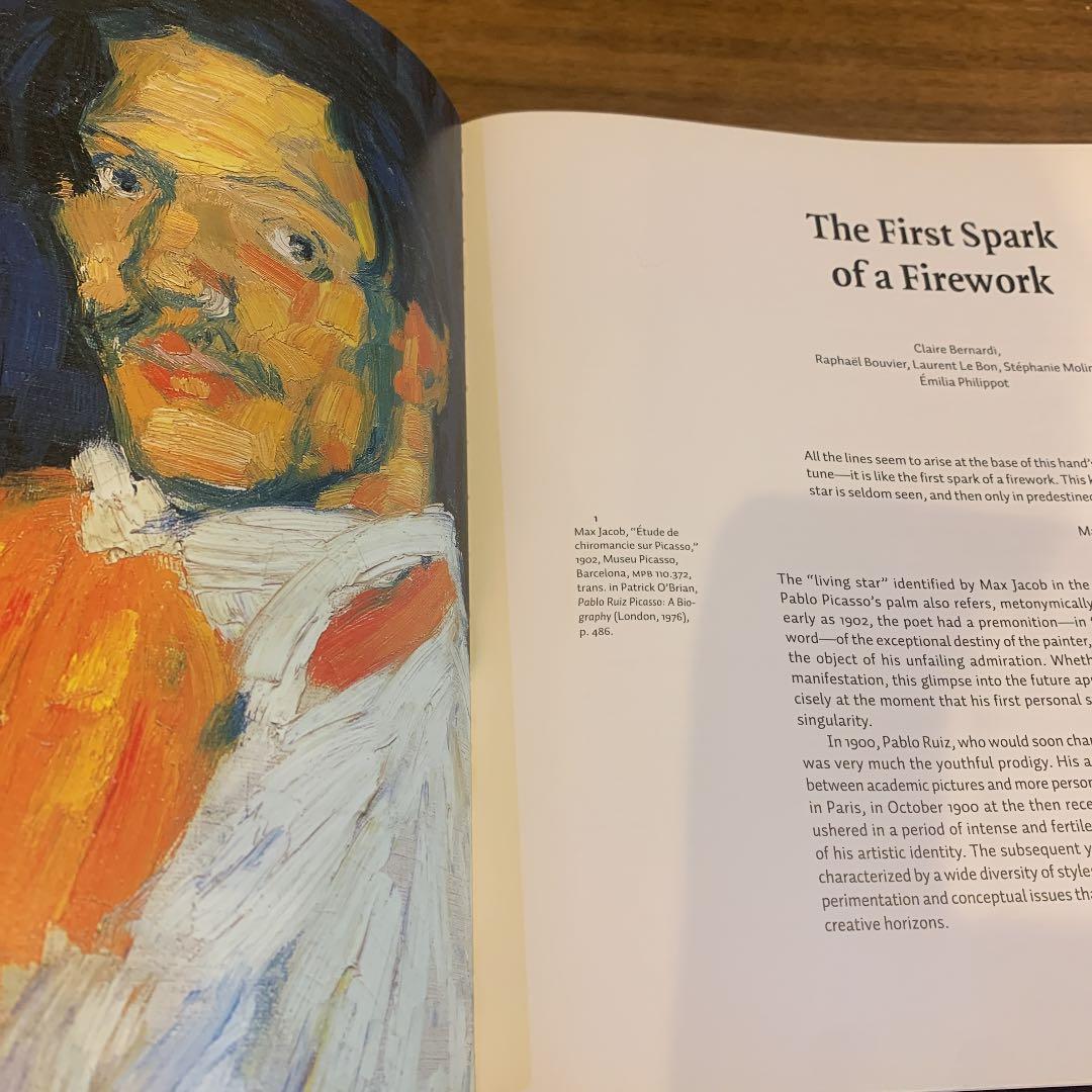 Picasso アート 洋書