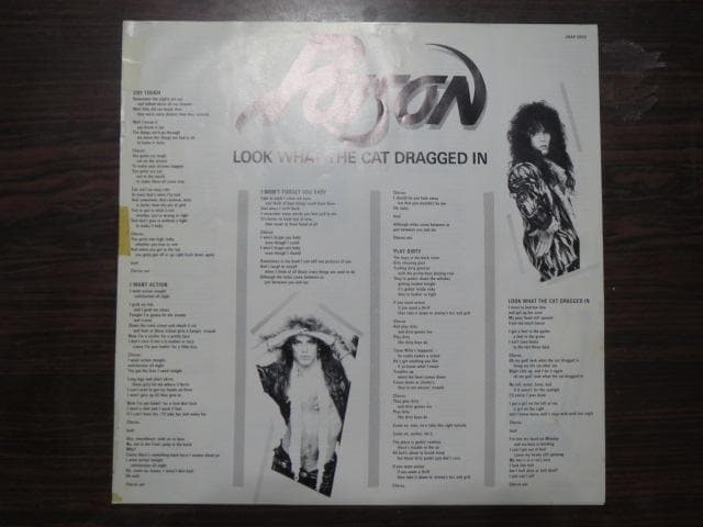 ポイズン「ポイズン・ダメージ」LPレコード 国内盤 帯付