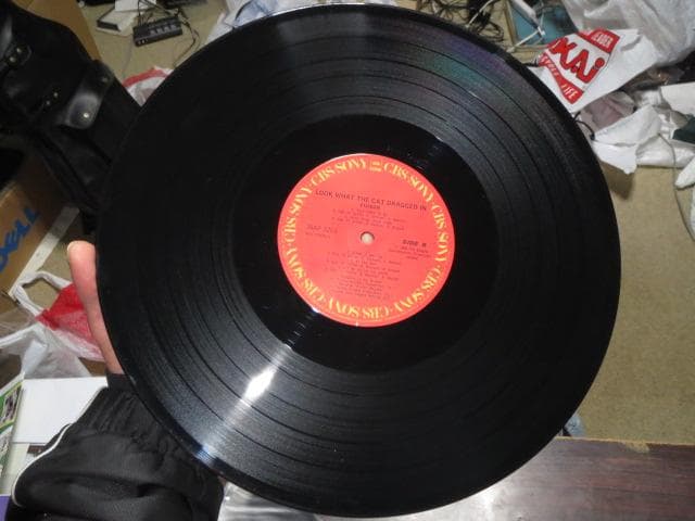 ポイズン「ポイズン・ダメージ」LPレコード 国内盤 帯付