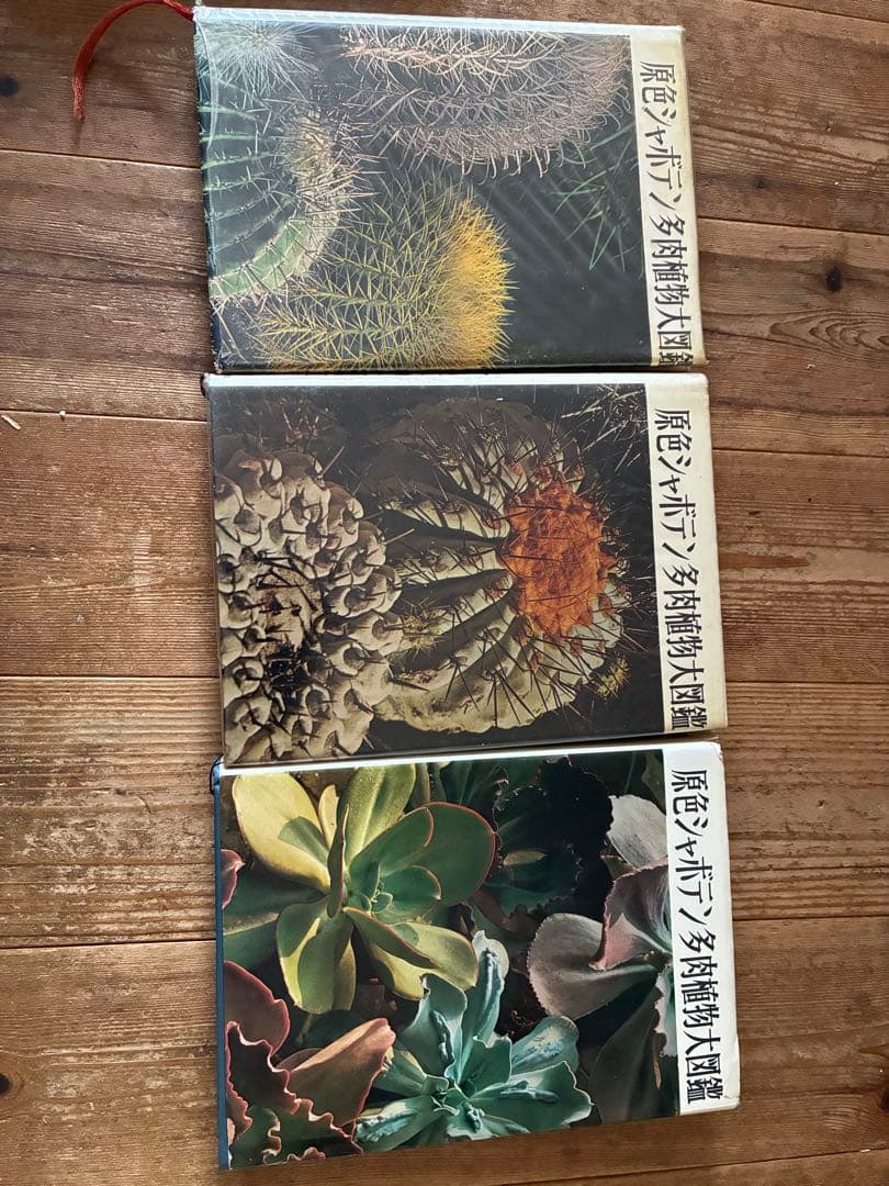 原色シャボテン多肉植物大図鑑1巻2巻3巻