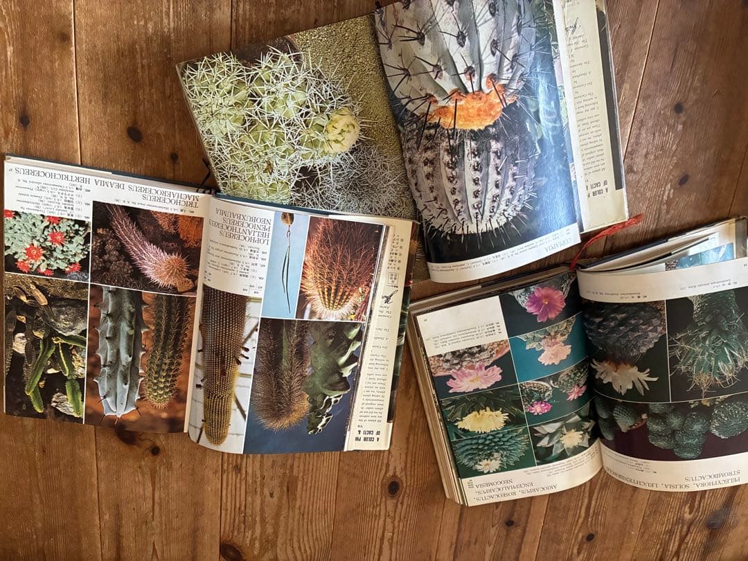 原色シャボテン多肉植物大図鑑1巻2巻3巻