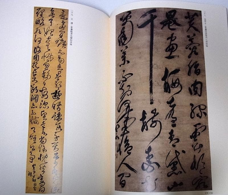 董其昌/張瑞図/王鐸/許友/査昇/沈宗敬 中国書道■明末清初書法展 書家■u4