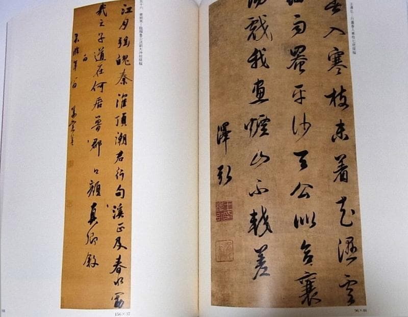 董其昌/張瑞図/王鐸/許友/査昇/沈宗敬 中国書道■明末清初書法展 書家■u4