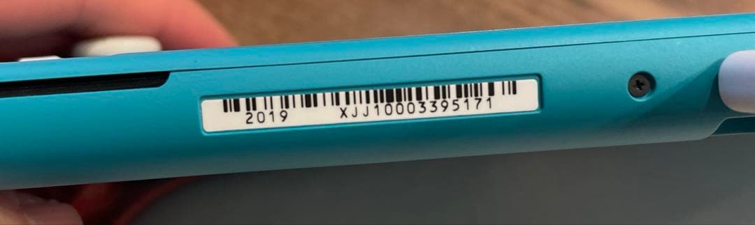 Nintendo Switch Lite ターコイズ 本体、専用ケース2色セット