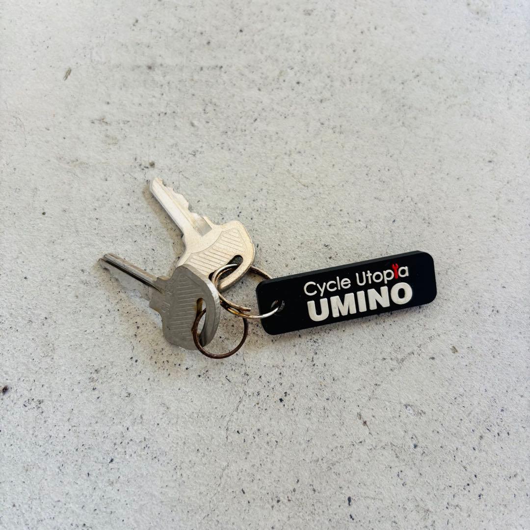 【静岡限定】silver fox 20インチ ジュニアMTB