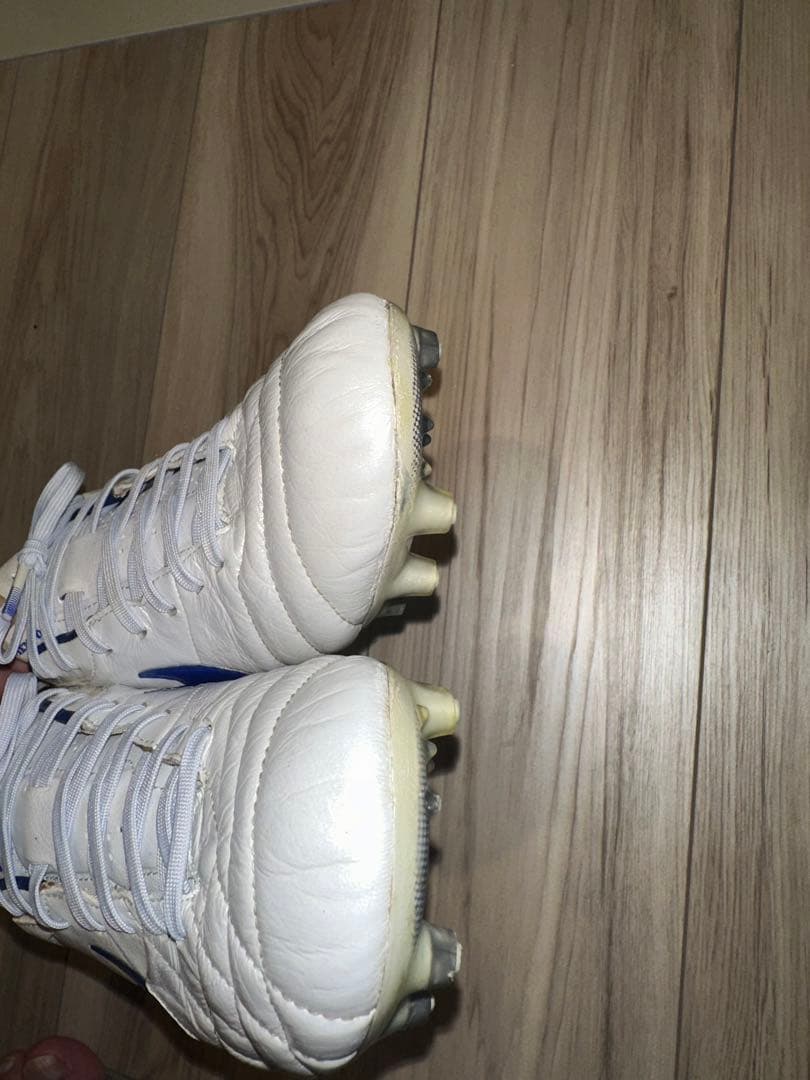 ティエンポレジェンド4 Ⅳ FG 白×青