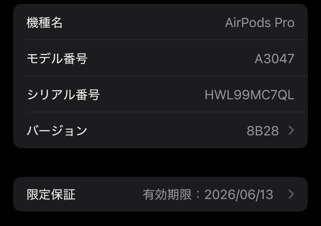 AirPods pro2 ケース付き