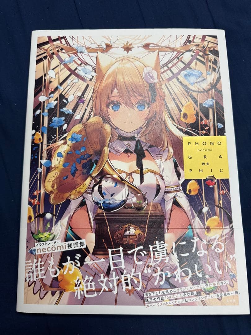 PHONOGRAPHIC necomi アートブック 直筆 サイン 入り