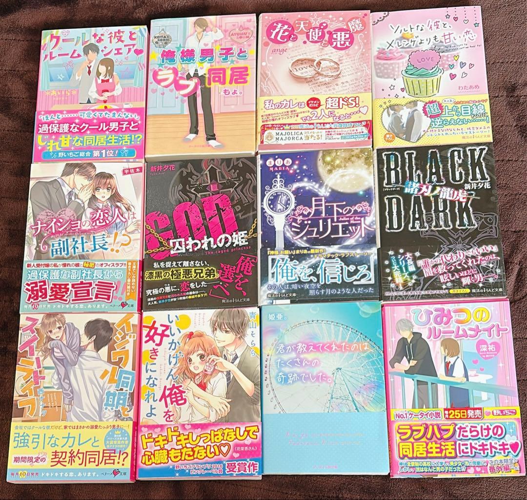 恋愛小説セット 12冊