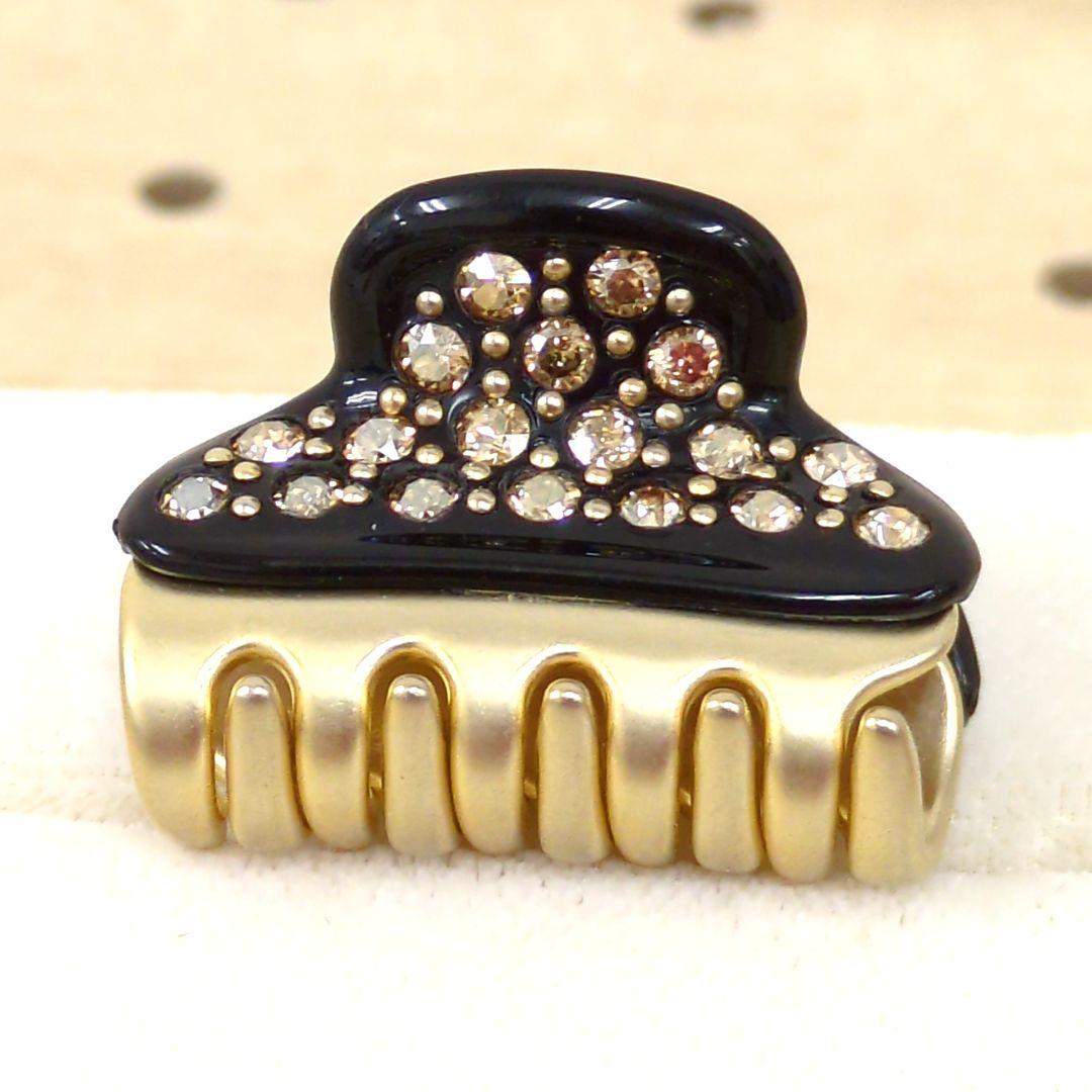 グレース★　　アレクサンドルドゥパリ ヘアピン クリップ ライトブラウン